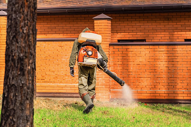 Trusted Fumigation Services service in Fort Defiance, AZ - Nex Pest Control